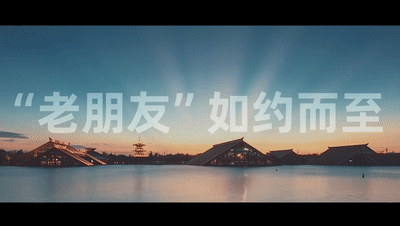 š